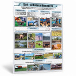 Soil A Natural Resources